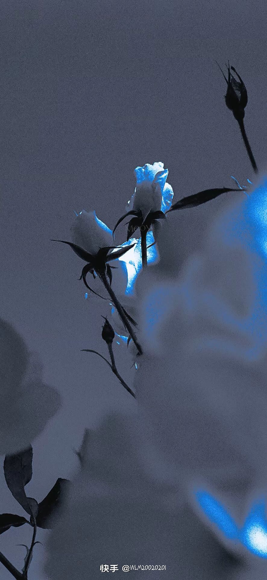 美丽的风景,最值得我们观赏!!