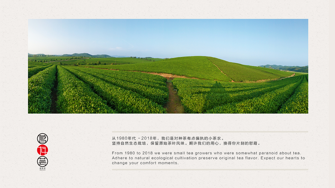 茗友荟—东至云尖生态茶包装方案