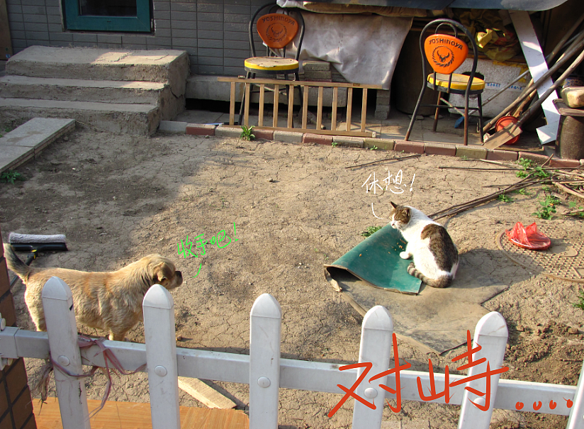 我结交了一群新朋友（图ZMjc2MjE3NjA=） - 文案/策划 - 站酷设计师画师x如也原创素材 - 站酷ZCOOL