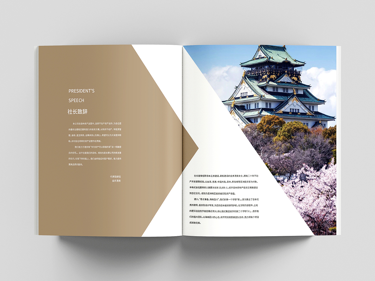 国外房地产画册设计色块线条