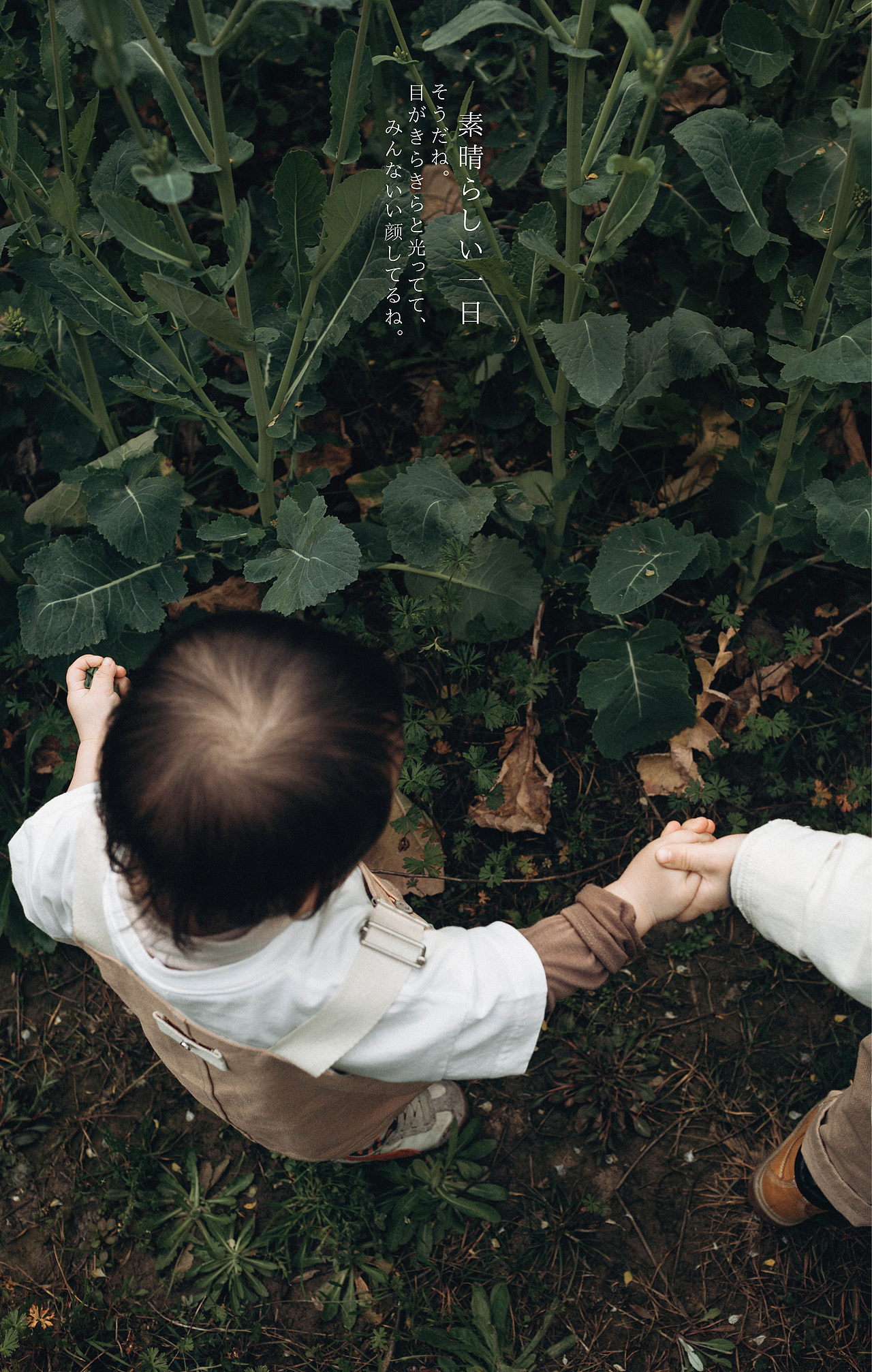 春日田野（图ZMTUxNjA2OTUy） - 人像摄影 - 站酷设计师摄影师孙孙酱原创素材 - 站酷ZCOOL