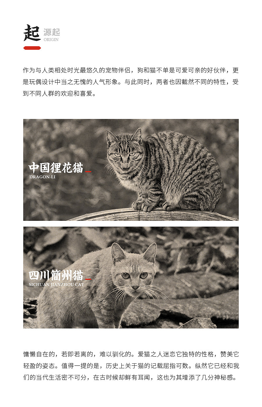 问童子®玩偶 | 猫偶系列（图ZMjEyMjE1NDM2） - 玩具 - 站酷设计师问童子原创素材 - 站酷ZCOOL