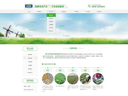 佳顺全生态产业链餐饮集团网站建设