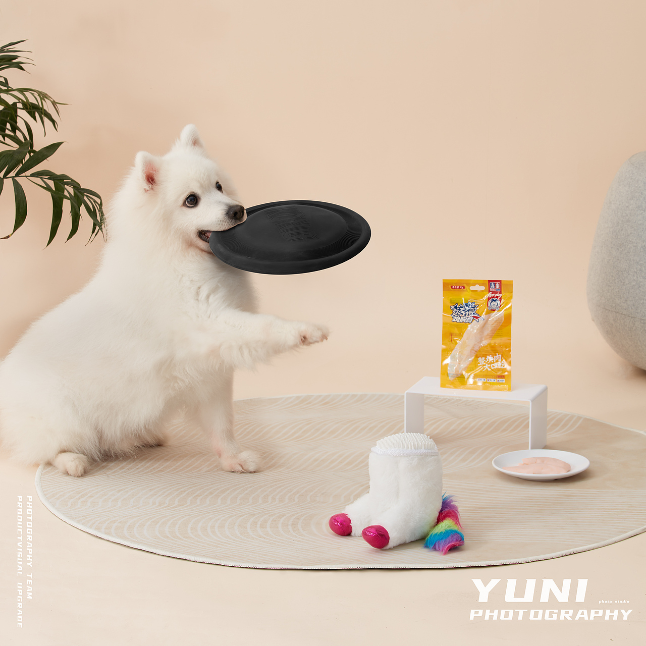 天猫.猫享自营 ✖ YuNi  宠物频道合集