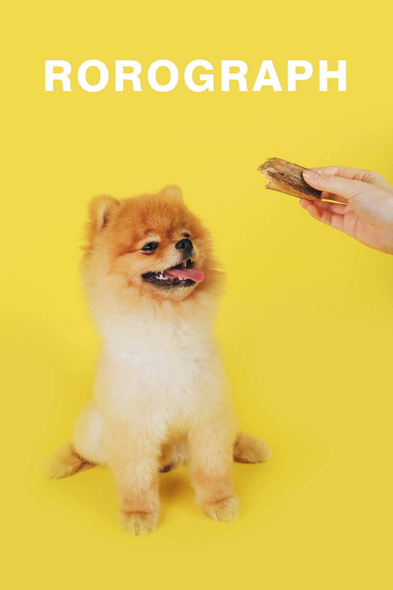 傻白甜BIUBIU爱吃蒸煮肉肉