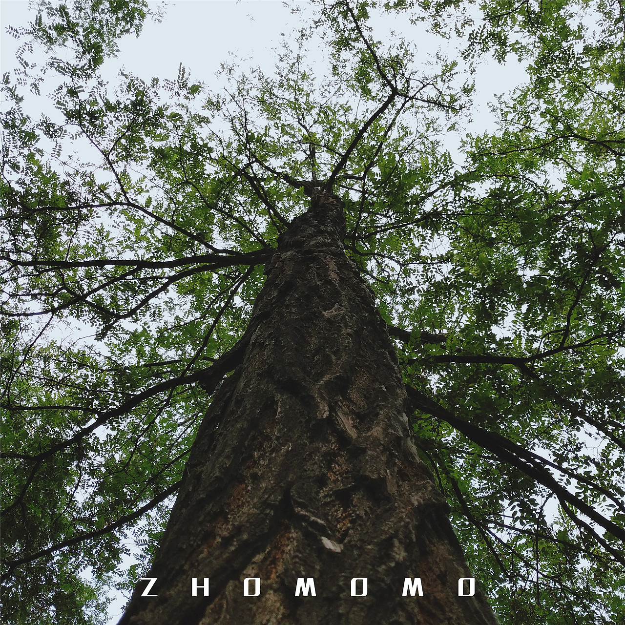 毕业穷游之山西站（图ZODU4MzU0OTY=） - 风光摄影 - 站酷设计师ZHOMOMO原创素材 - 站酷ZCOOL
