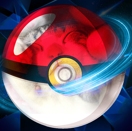 送你一个精灵球