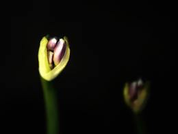 2018 平遙攝影節(jié) 參展作品