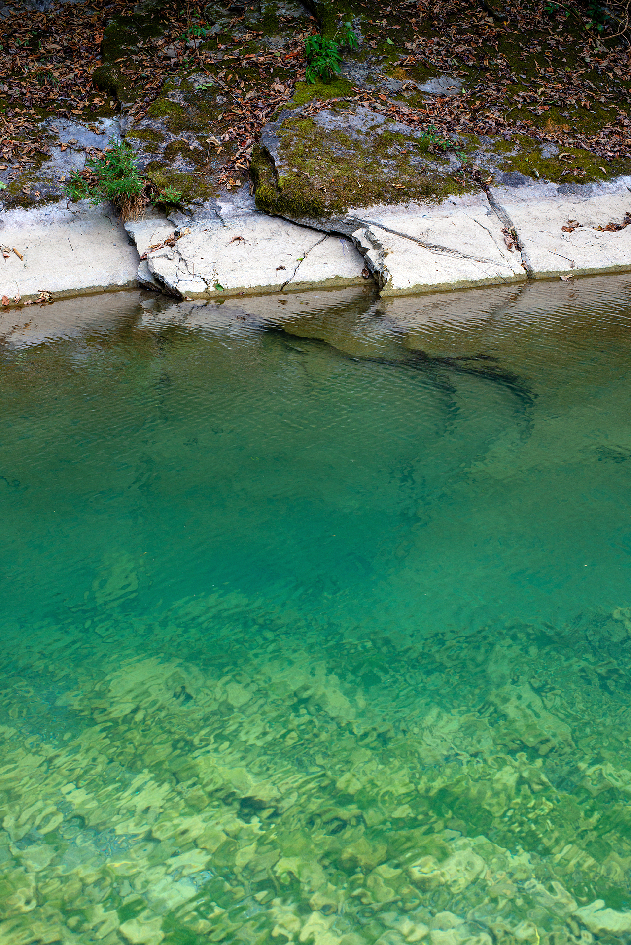 山野溪谷（图ZMzE0NTAyMjQ4） - 其他摄影 - 站酷设计师无所谓对错原创素材 - 站酷ZCOOL