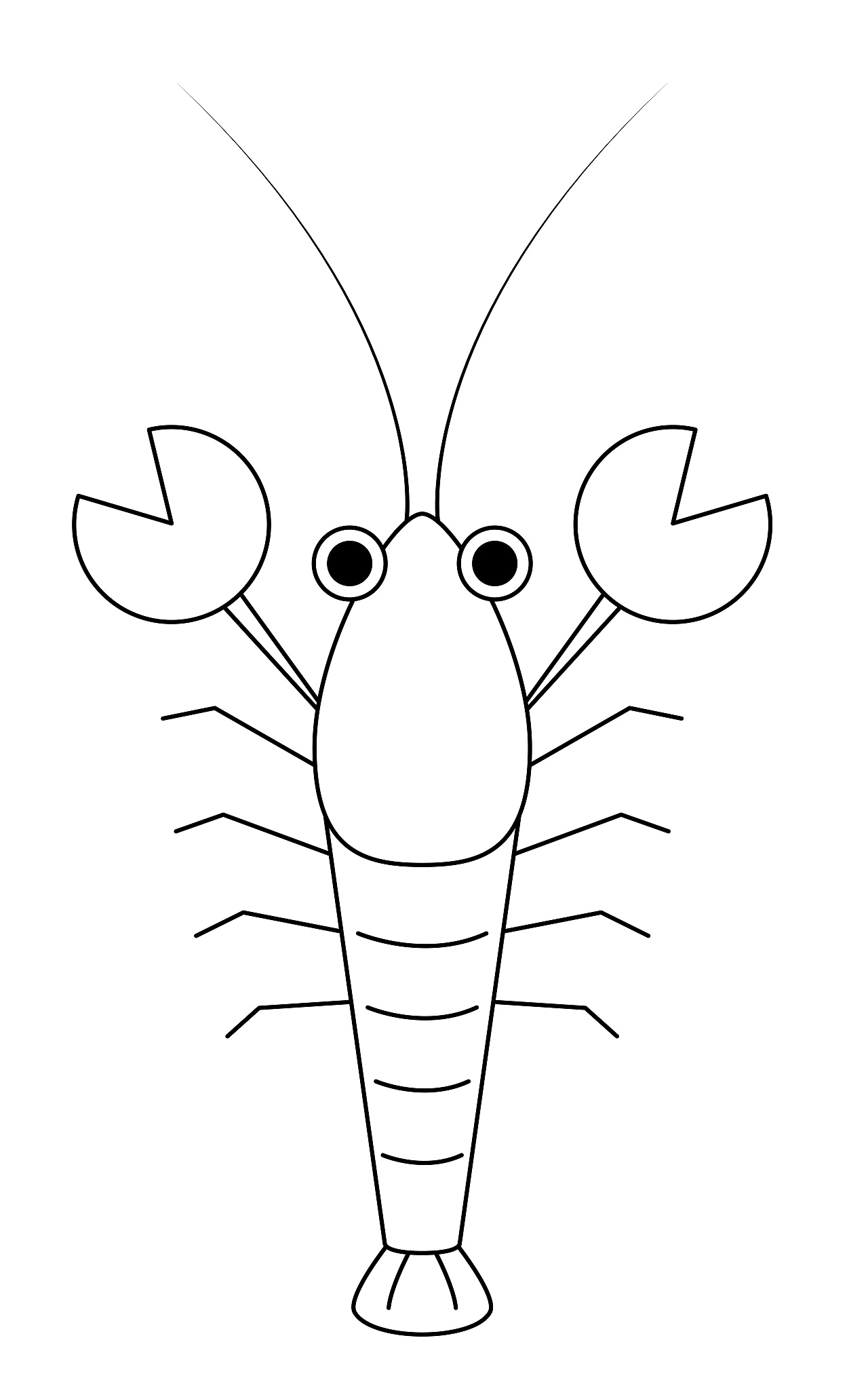 少儿3-6岁美术大全 实用简笔画龙虾的画法过程图 肉丁儿童网