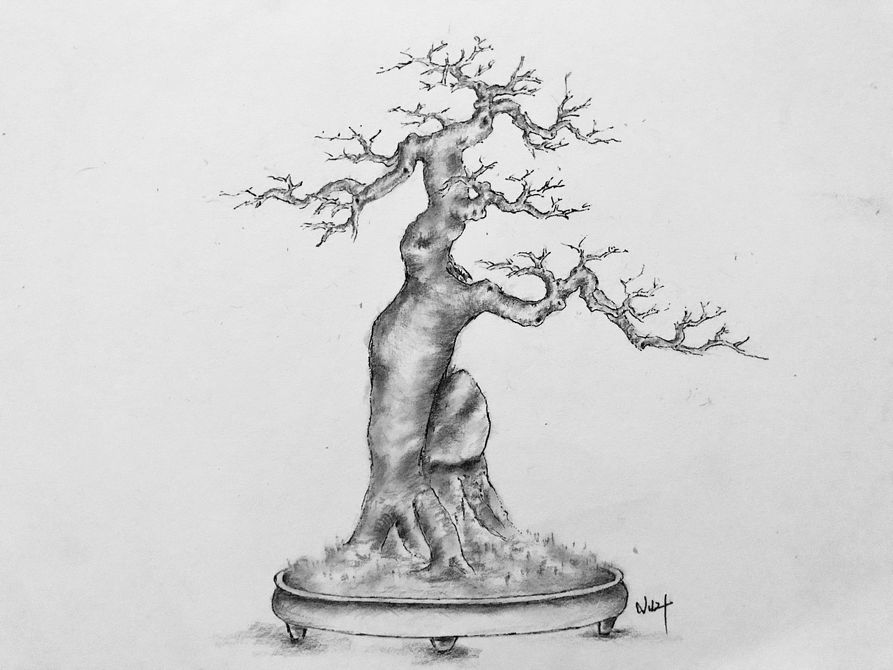 手绘盆景设计图