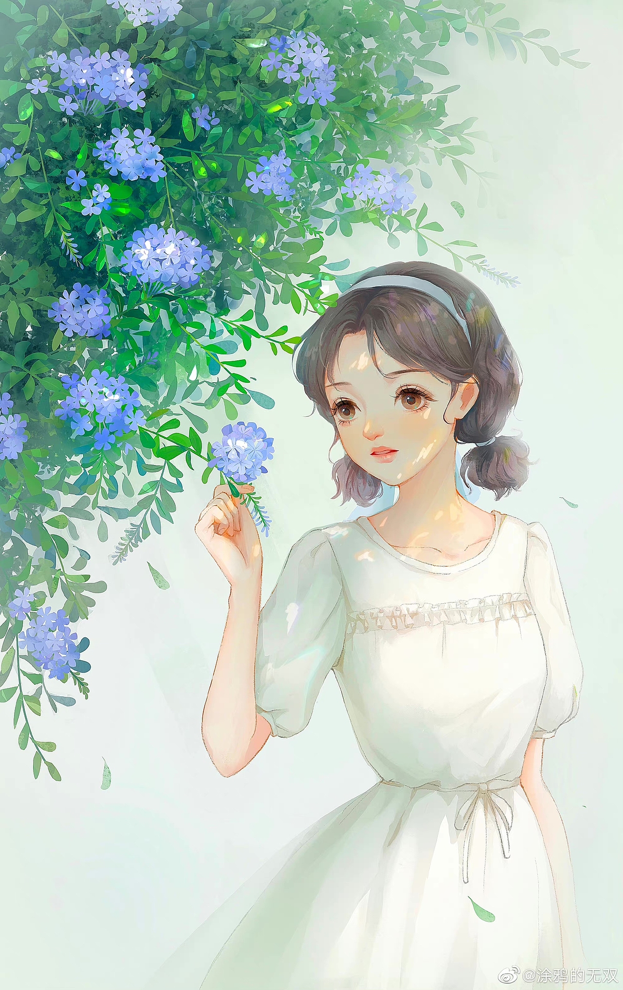 发个蓝雪花少女