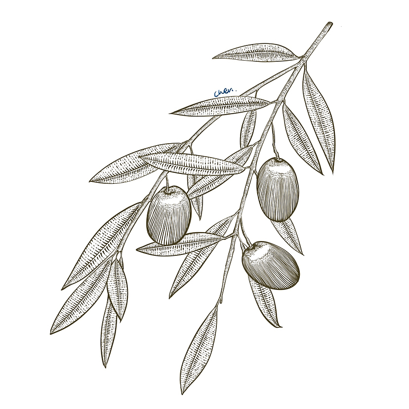 版画风格可太适合做包装了