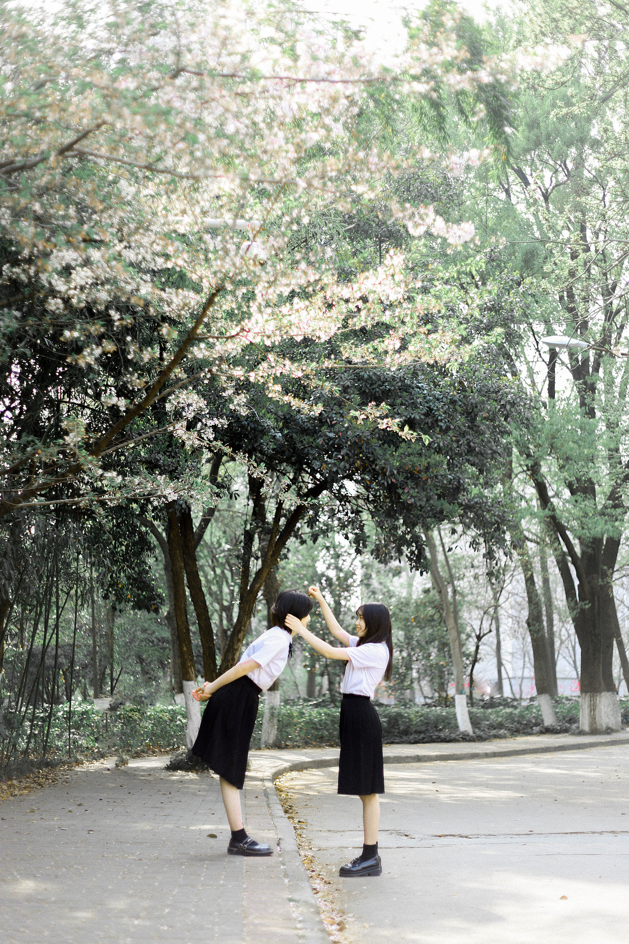后青春的诗（图ZMjIxMzEzMjQ0） - 人像摄影 - 站酷设计师puca_z034原创素材 - 站酷ZCOOL
