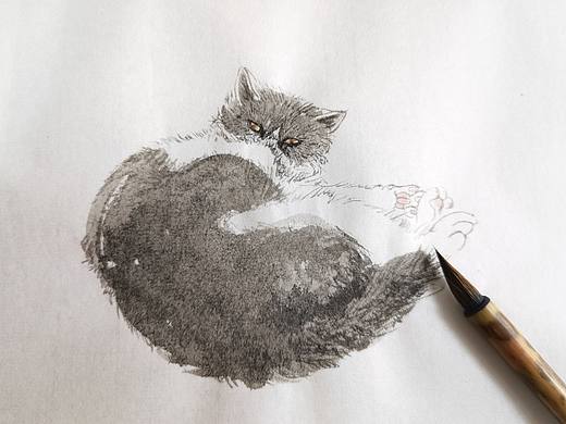 我的猫儿斑