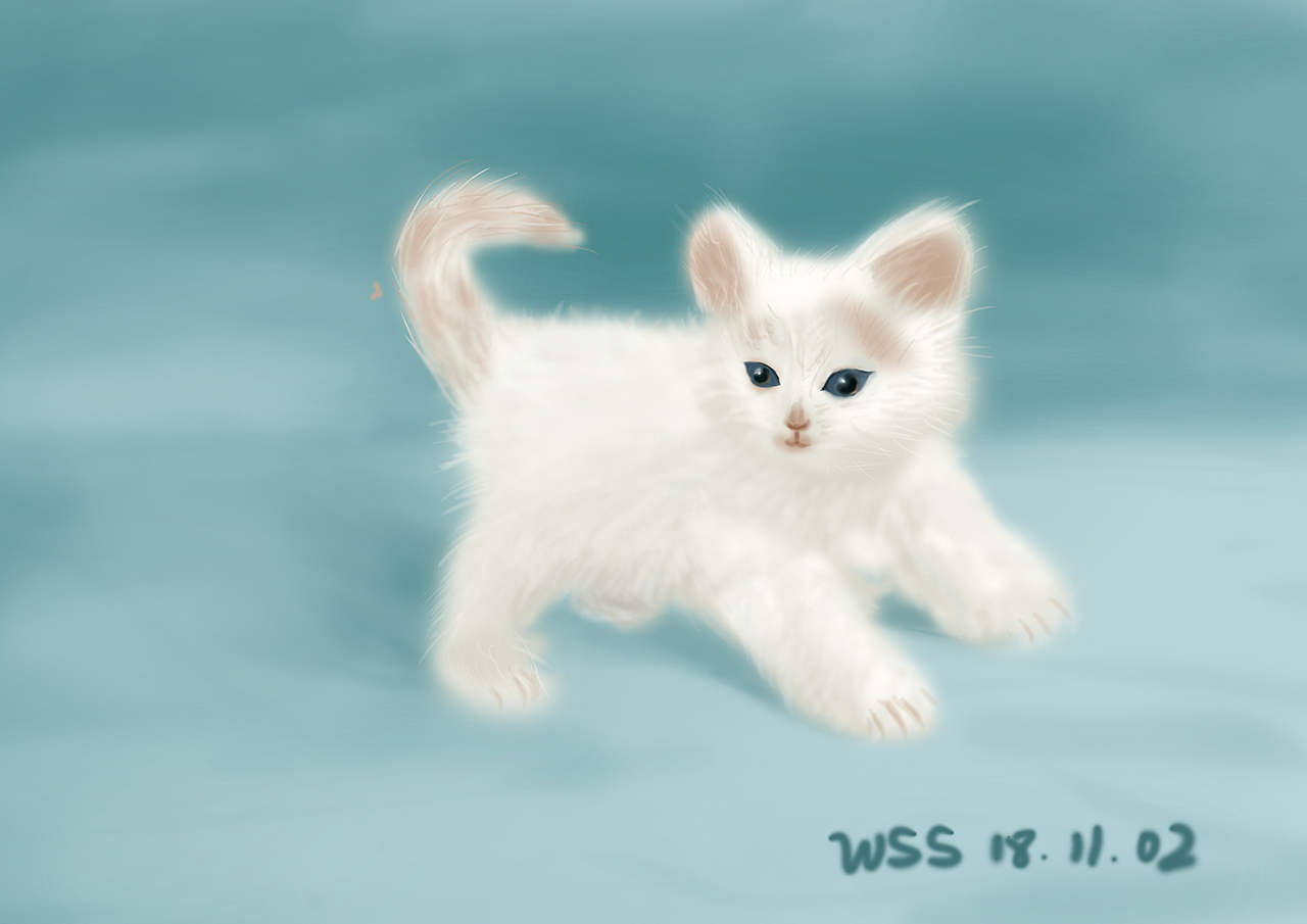 在外打滚了一天的脏脏猫