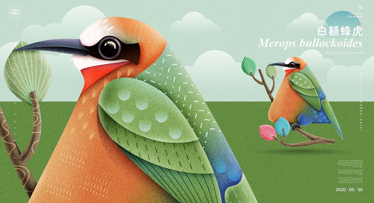 鸟儿（图ZMjEwNTYzMzMy） - 绘本 - 站酷设计师言身寸言身寸原创素材 - 站酷ZCOOL