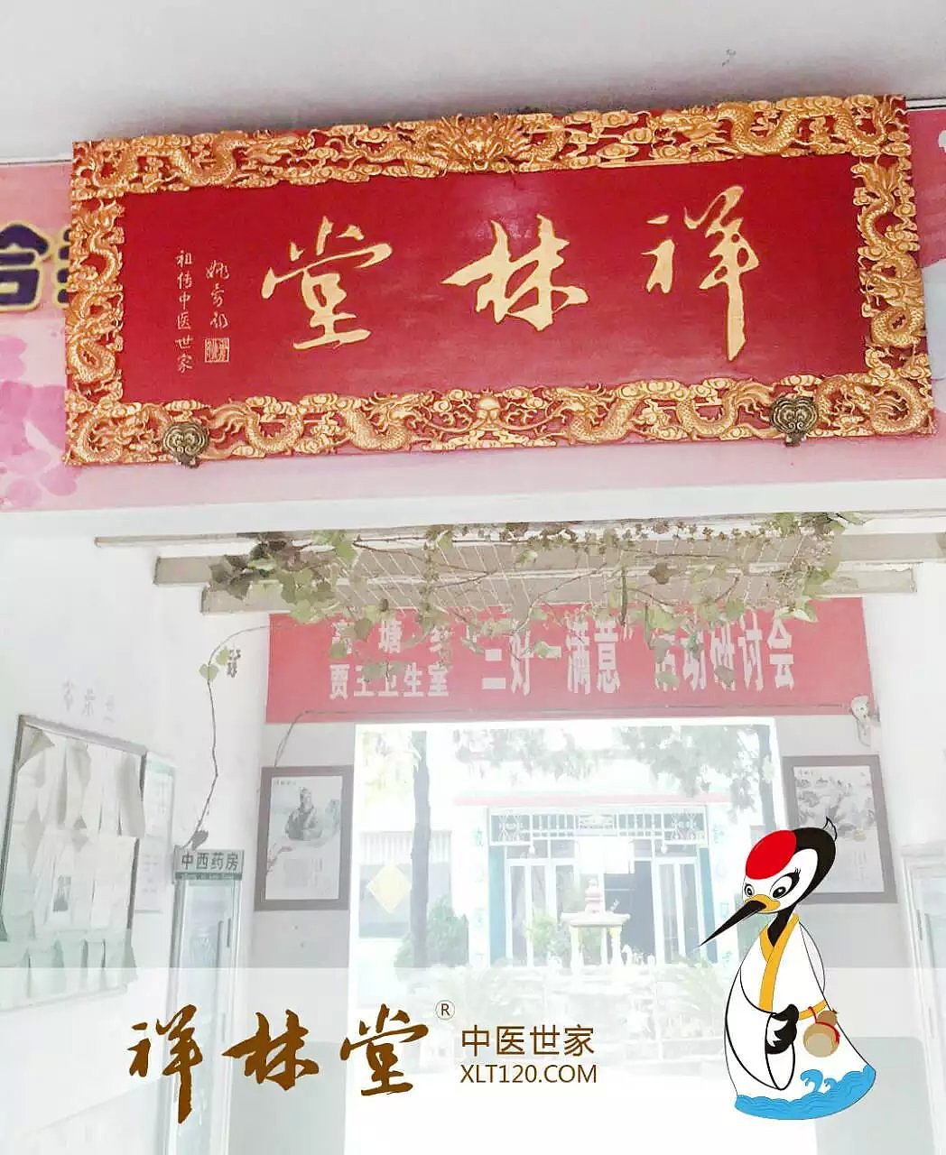 传承中医文化精髓 融入互联网 造福百姓