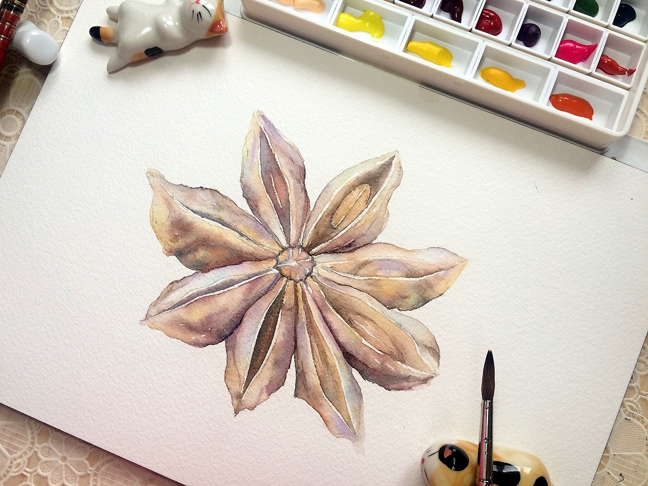 小妮子水彩香料篇八角