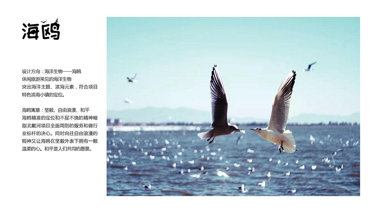 佳兆业特色滨海小镇吉祥物设计（图ZMTg4OTMwMDA4） - IP形象 - 站酷设计师蓝柚设计原创素材 - 站酷ZCOOL