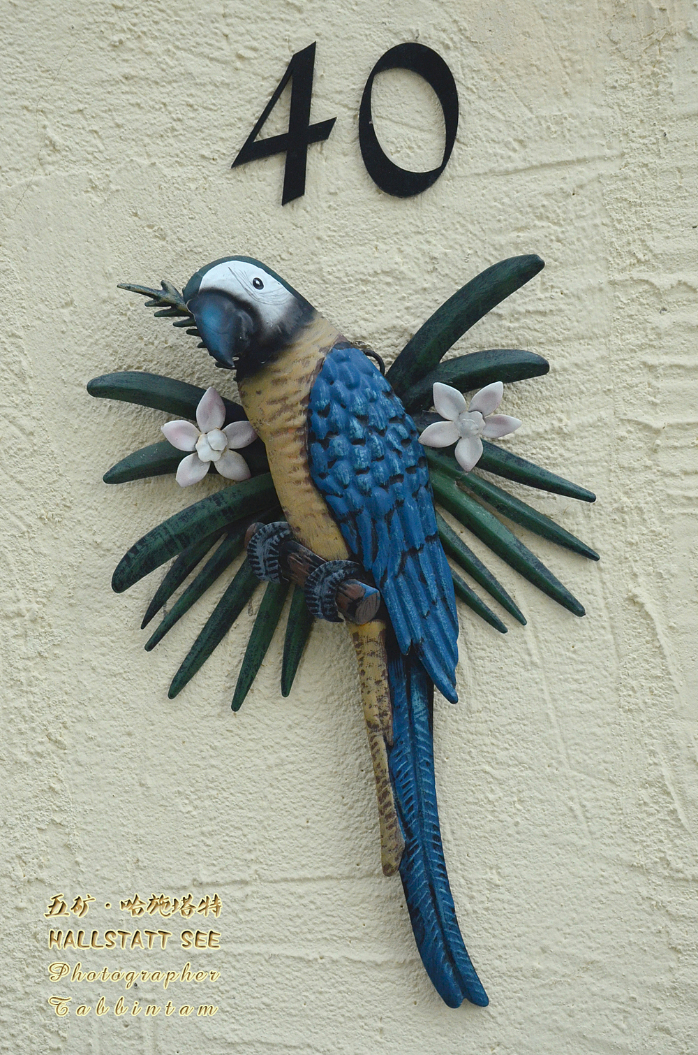 美丽的五矿哈施塔特