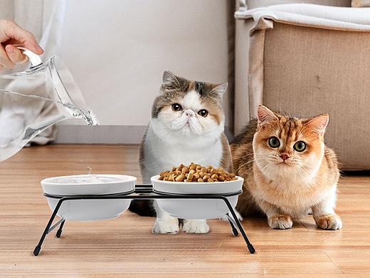 猫碗
