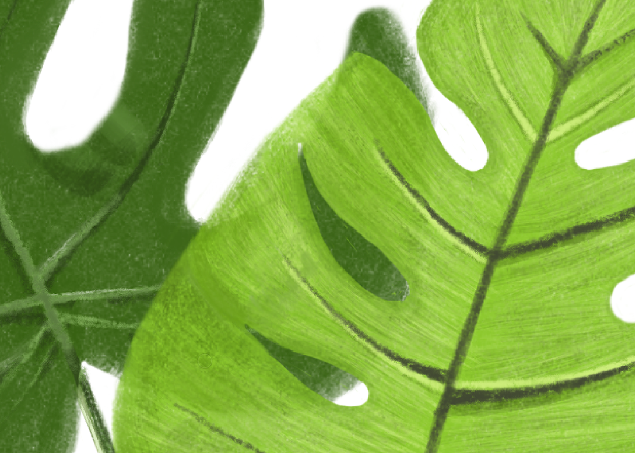 ins风格北欧色彩玻璃瓶插绿色叶子植物写实