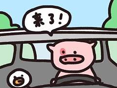 猪弟第二弹表情包