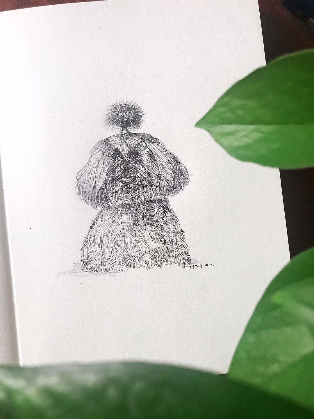 彩铅，针管笔作品（图ZMTY0MDM4NzQ4） - 创作习作 - 站酷设计师英子手绘插画控原创素材 - 站酷ZCOOL