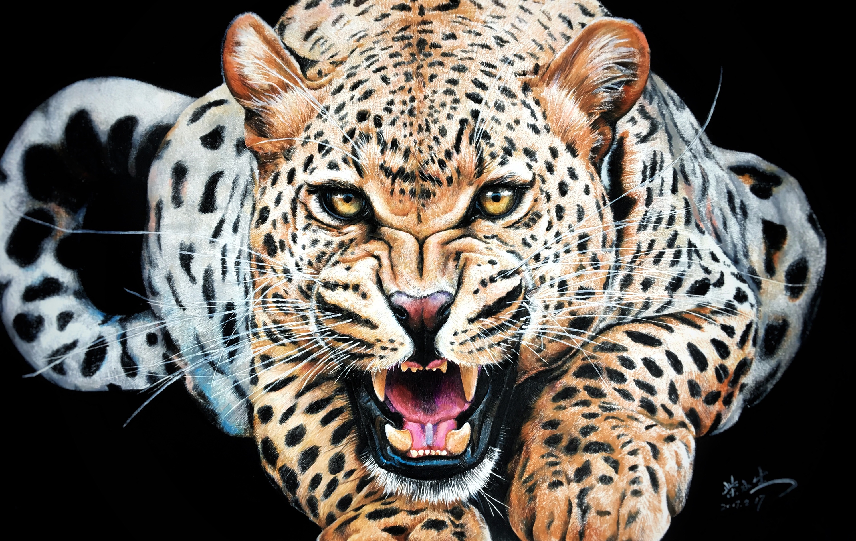 白色背景中突显的可爱豹. 非洲动物. 矢量图动画 向量例证. 插画 包括有 查出, 密林, 表面, 肉食 - 211757368