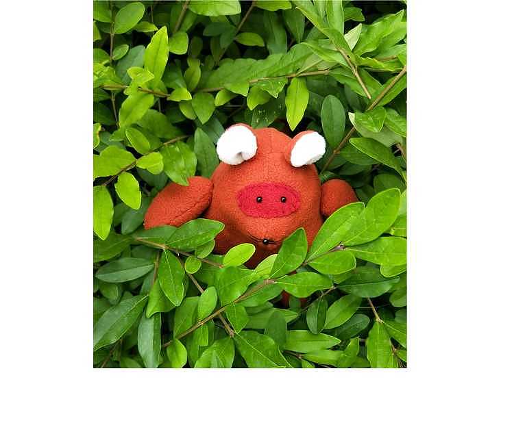 布偶DIY可爱的小狸子（图ZMTc5OTM5MjA0） - 其他手工艺 - 站酷设计师树上飞鱼原创素材 - 站酷ZCOOL