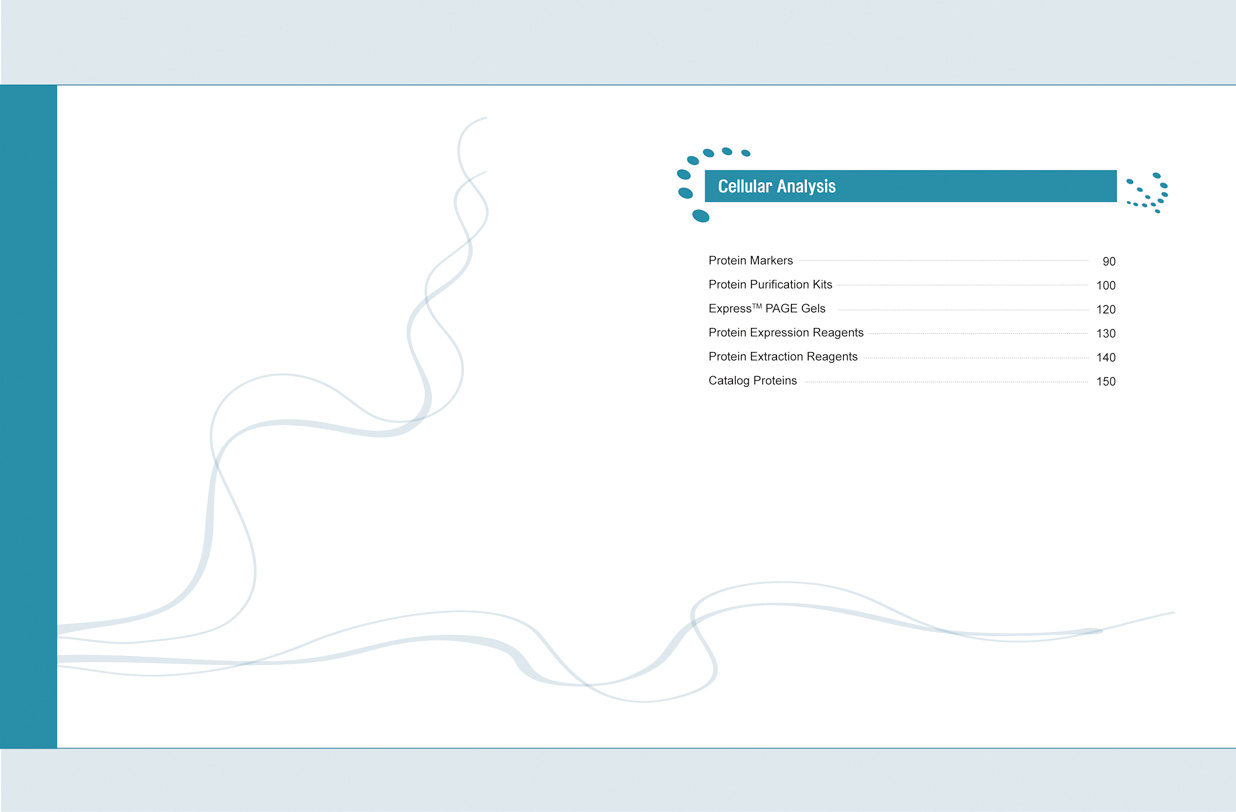 catalog扉页设计|平面|其他平面|fanfanfan9 - 原创作品 - 站酷 (zcoo