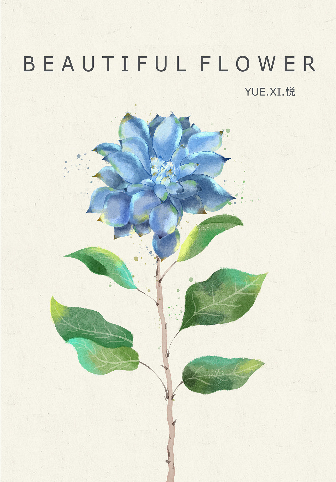 植物花卉|插画|创作习作|悦兮19_原创作品-站酷zcool