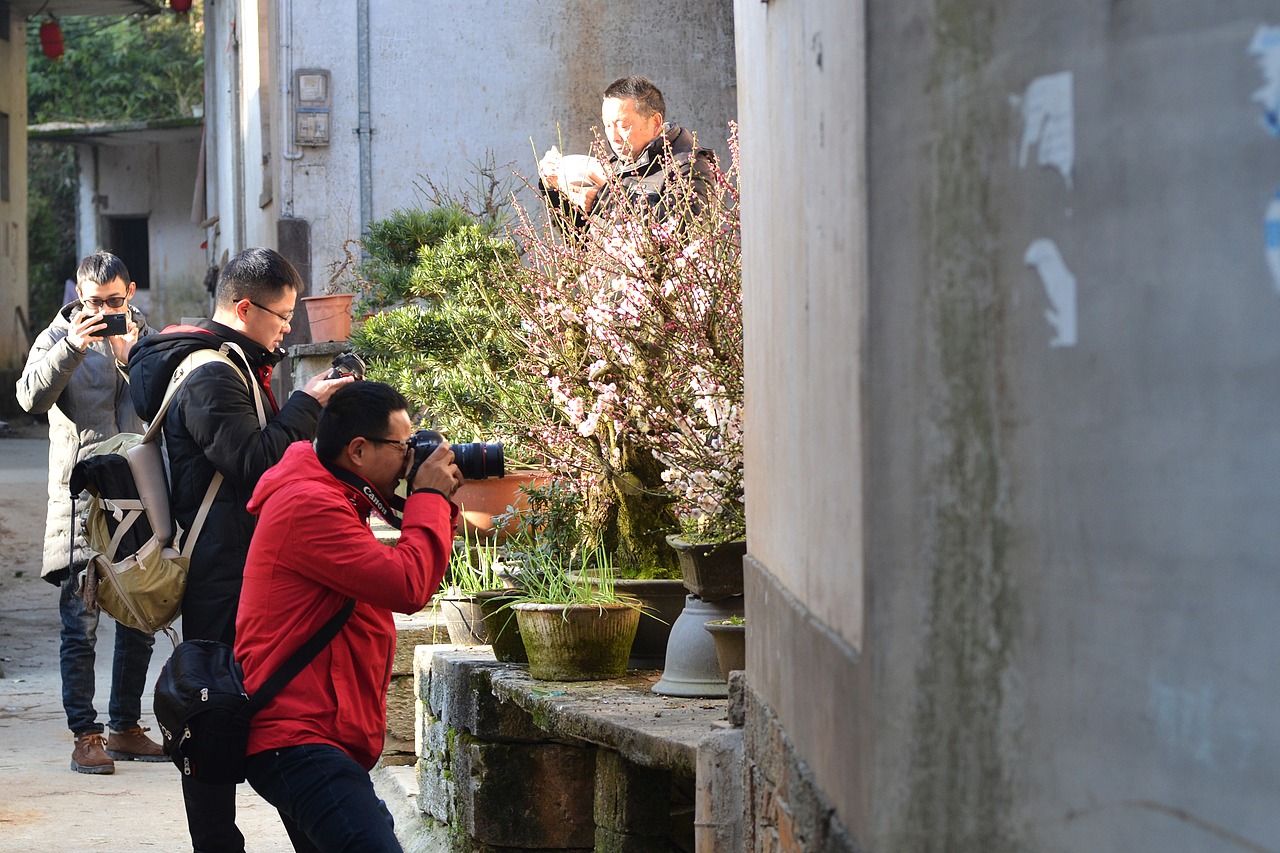 梅花与茶,2019年走山卖花鱼村