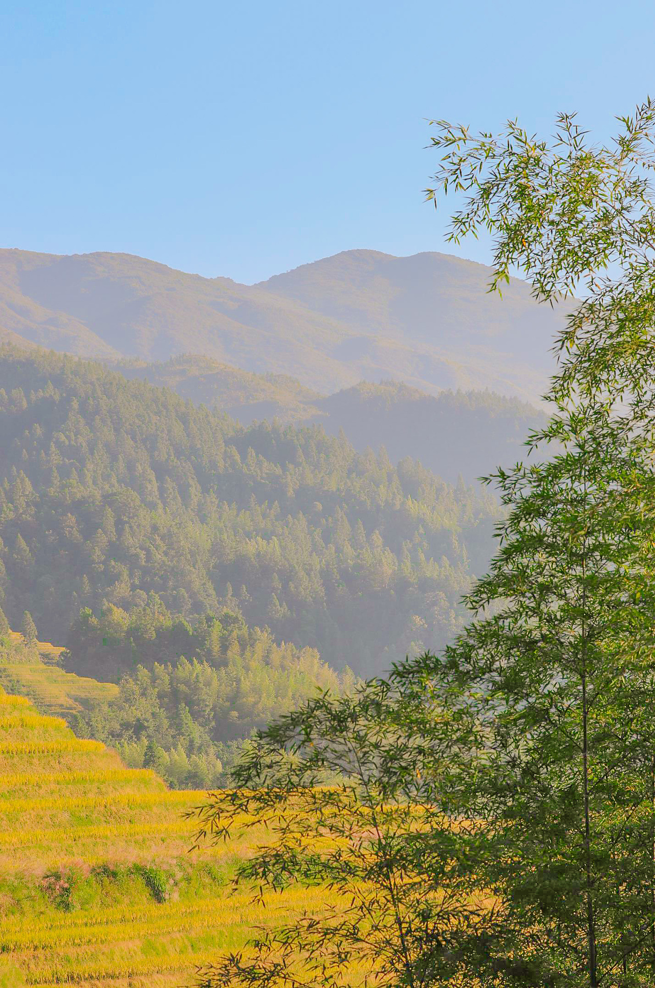 龙胜梯田（图ZMTMxNjIzMjY4） - 风光摄影 - 站酷设计师realZT原创素材 - 站酷ZCOOL