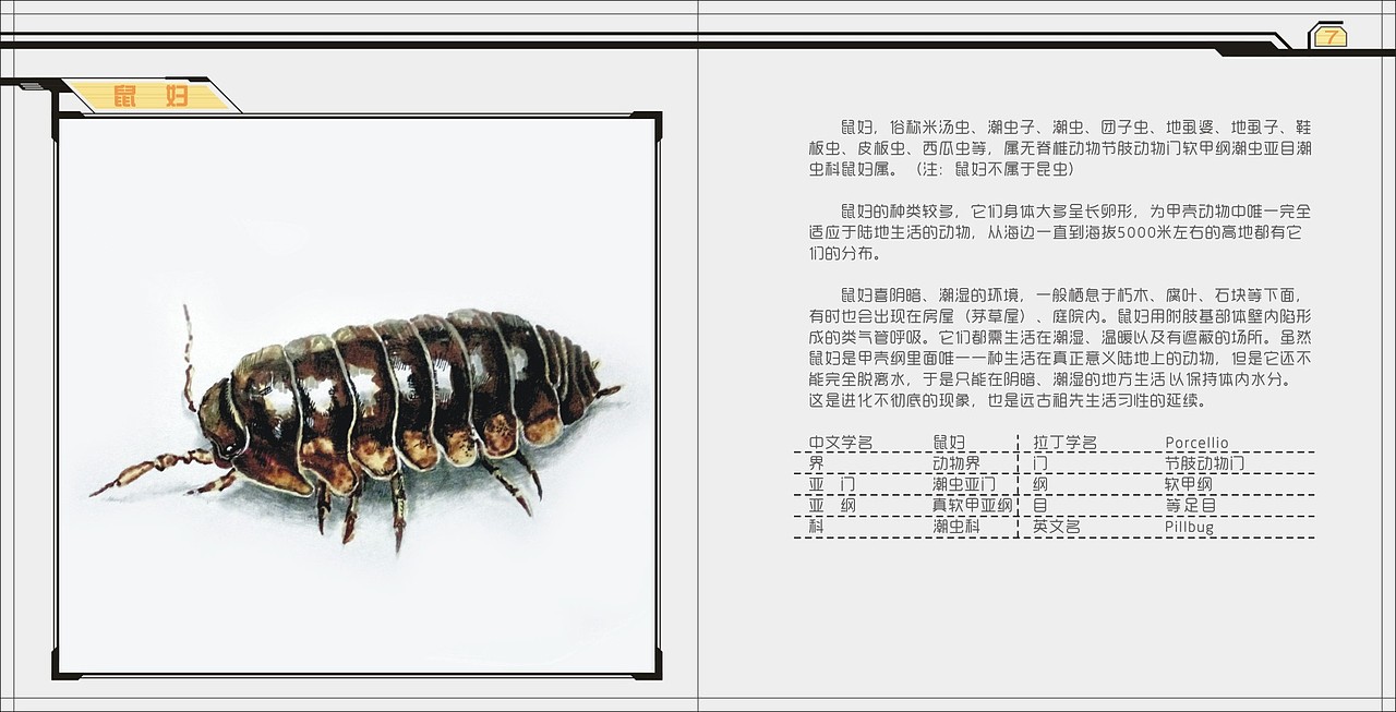 机械昆虫绘本丨当年的毕业设计（图ZODMyMzYwMjA=） - 创作习作 - 站酷设计师神奇小学生原创素材 - 站酷ZCOOL