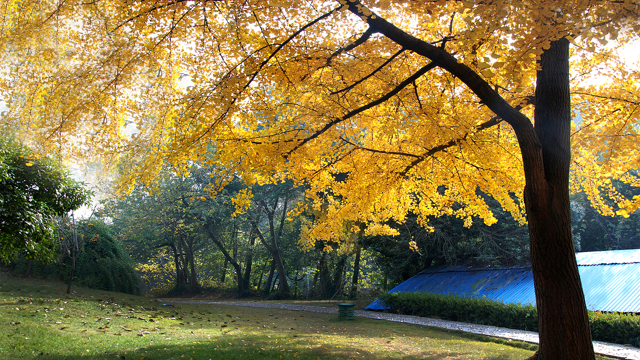 身邊也有美（圖ZMzYzNDQ4NTY=） - 其他攝影 - 站酷設(shè)計師呆呆寧0824原創(chuàng)素材 - 站酷ZCOOL