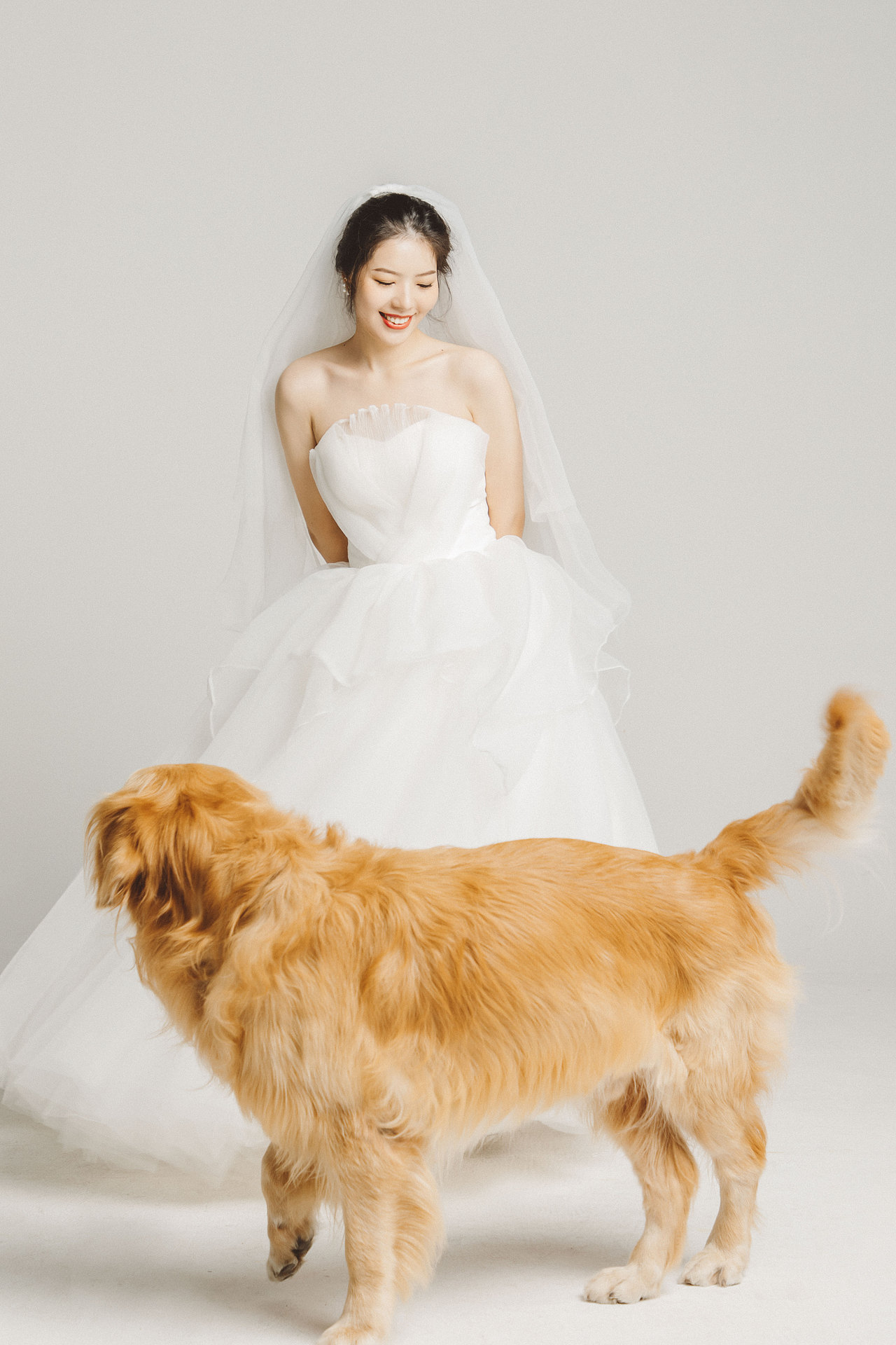 给金毛和他主人拍的婚纱写真