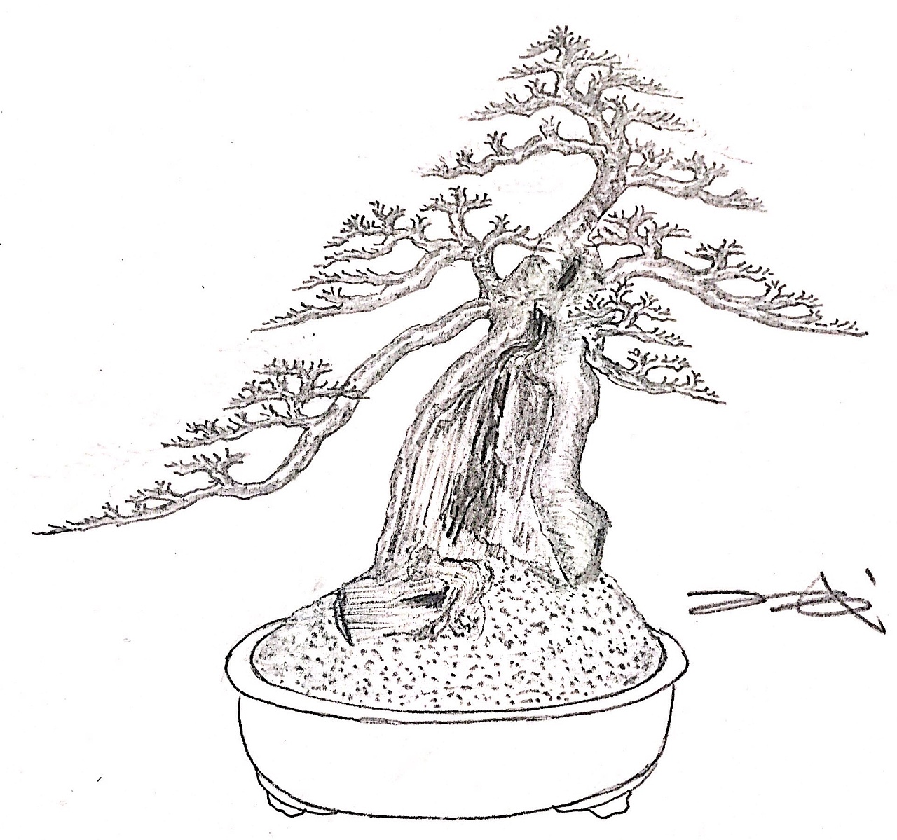 盆景设计效果图