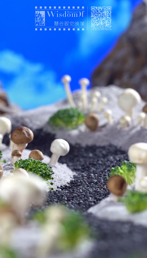 寿喜锅（图ZMTU1NTQ0NTky） - 短片 - 站酷设计师慧谷视觉映象原创素材 - 站酷ZCOOL