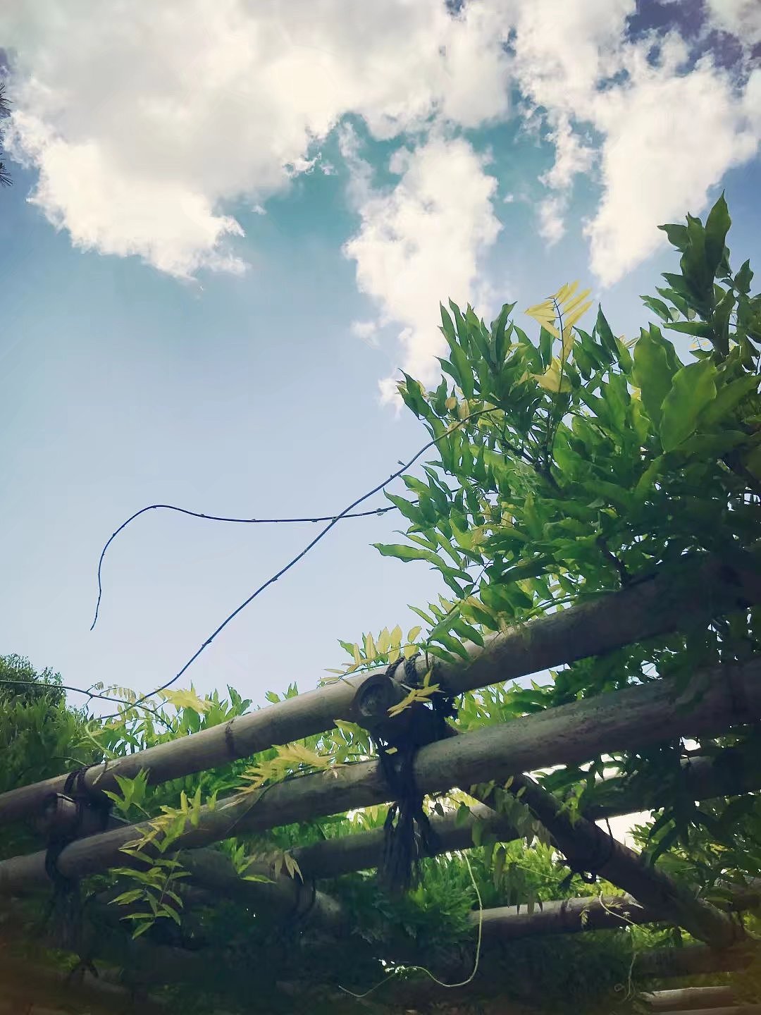 日本京都一周游