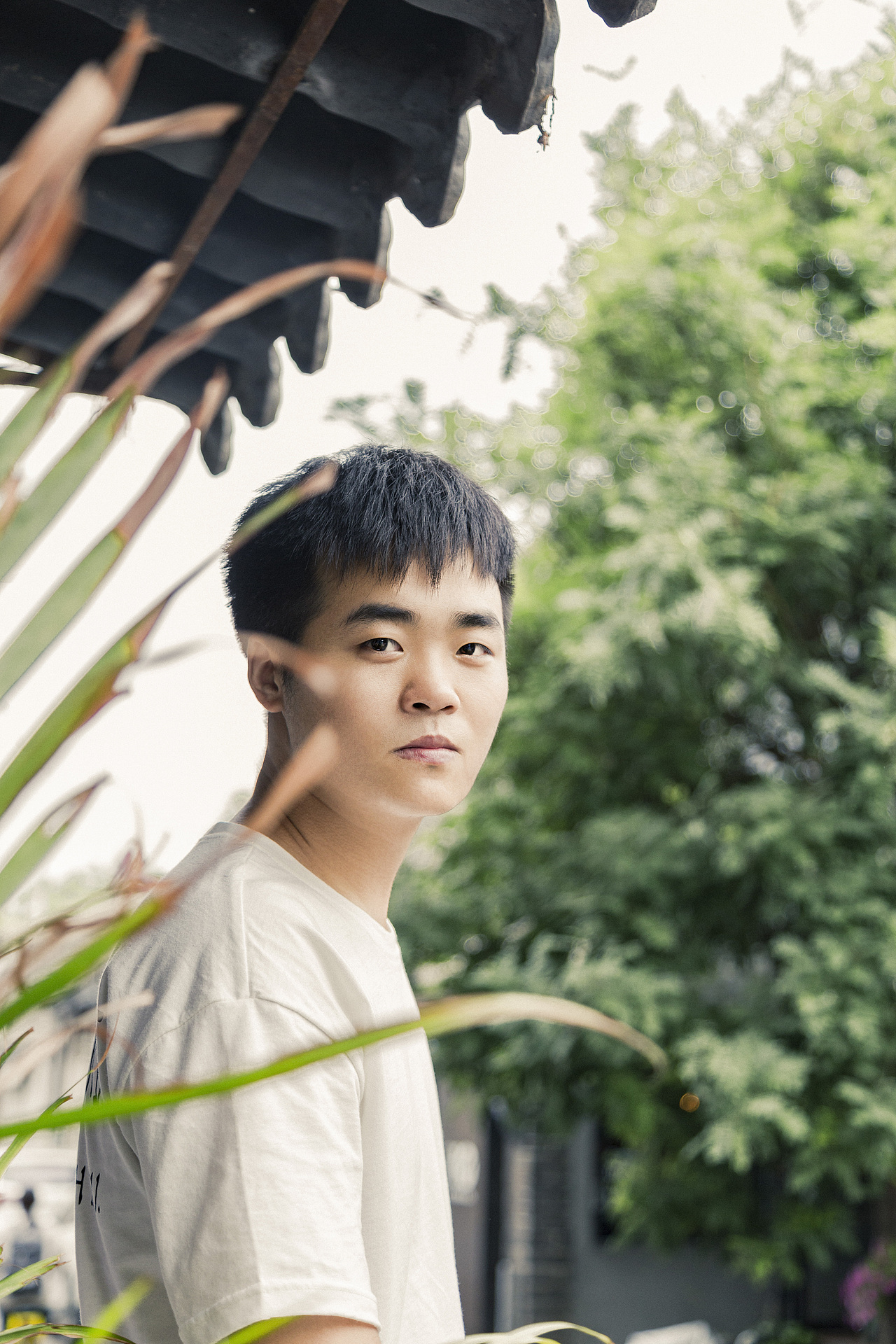 一只唱歌的小哥哥