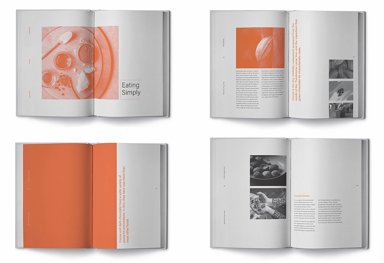 大脸设计--书籍--版式设计