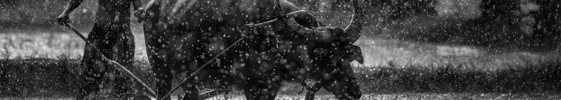 继旭的个人主页（封面预览） - 主页封面设置 - 站酷设计师继旭原创素材 - 站酷ZCOOL