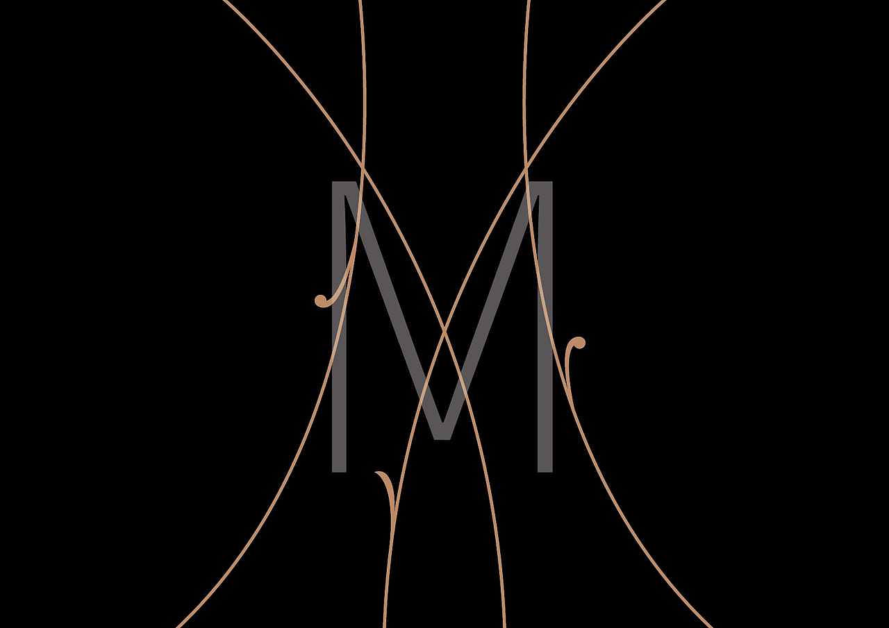 美术教育vi 艺术培训vi 学校LOGO 学校vi 家居vi设计