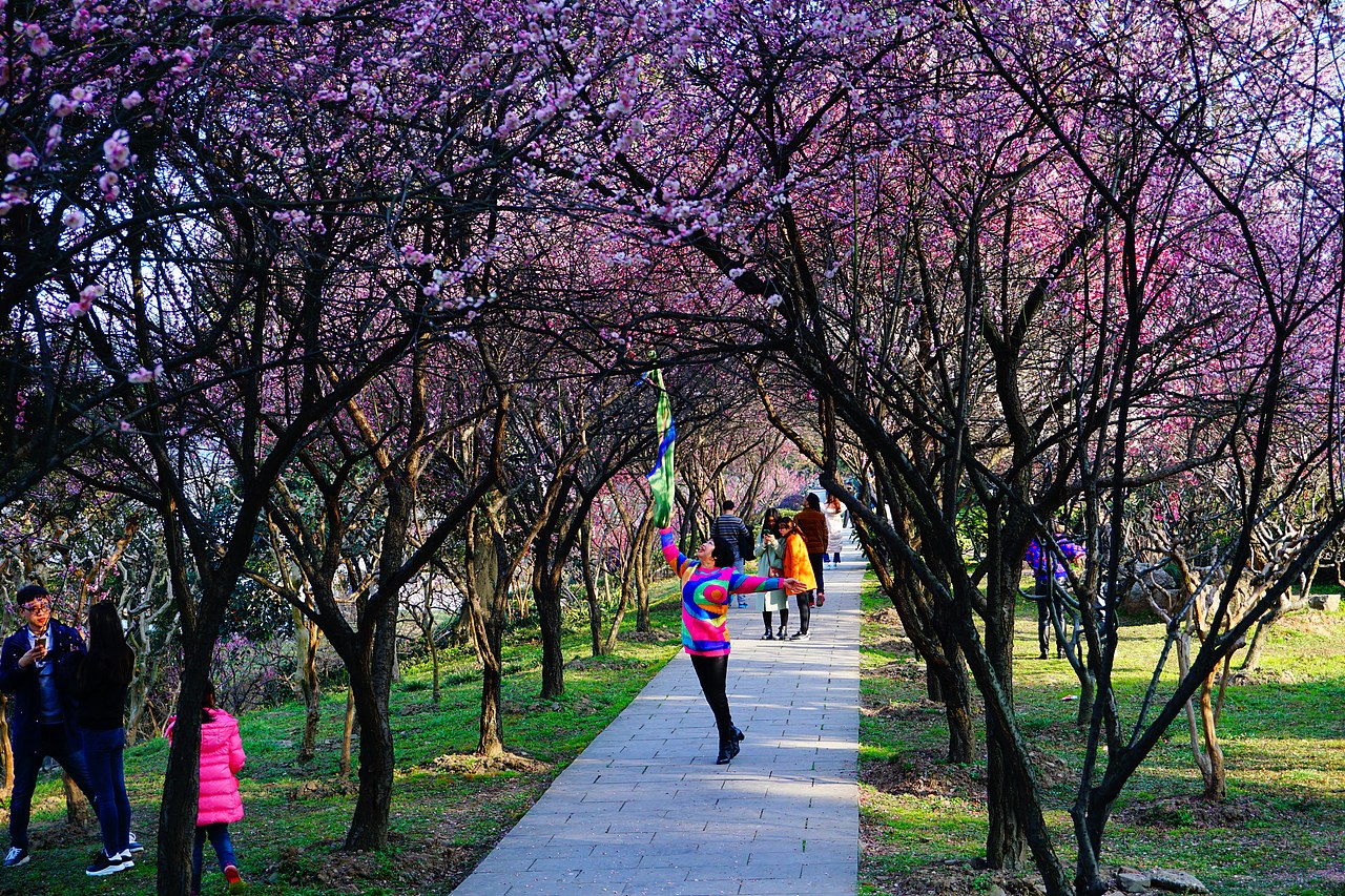 那年闲逛的玄武湖