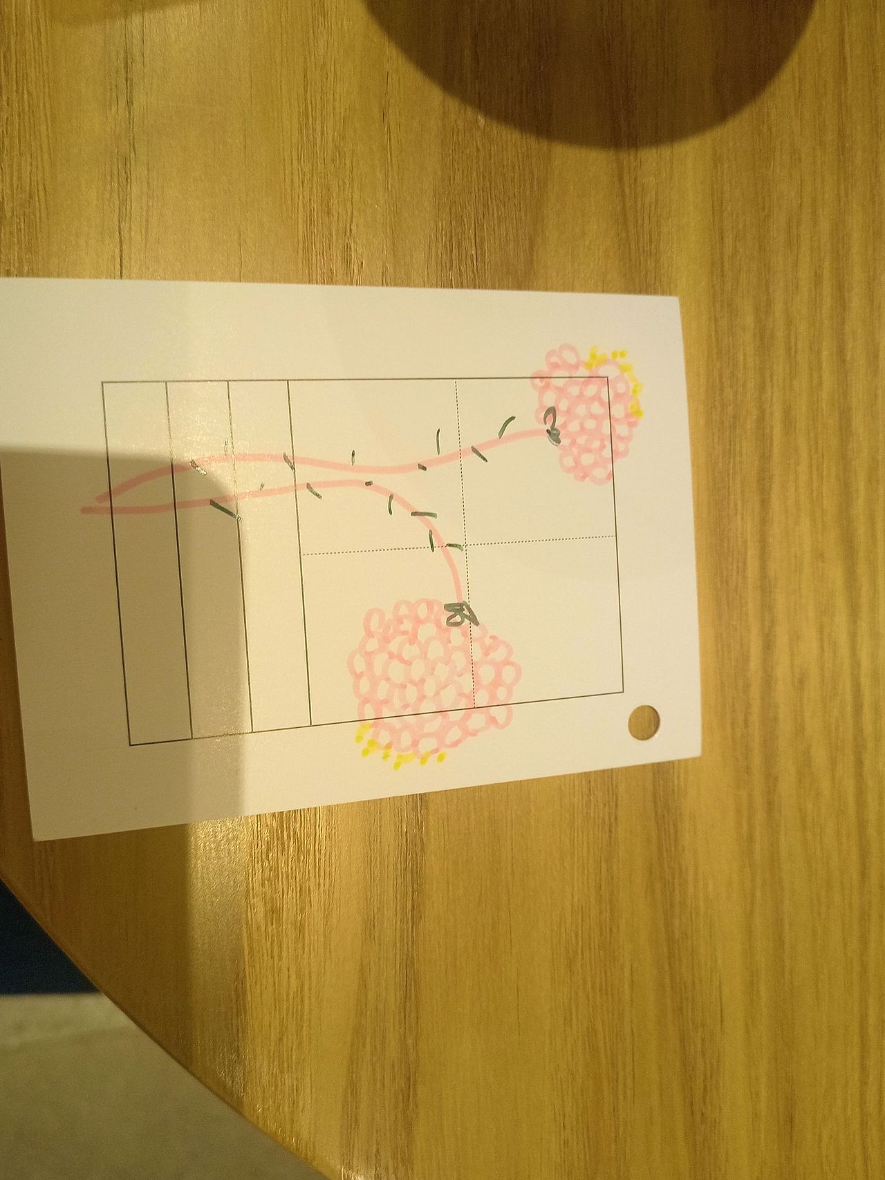 海棠花（图ZMzU4MjI3MDc2） - 商业插画 - 站酷设计师澳门门门原创素材 - 站酷ZCOOL