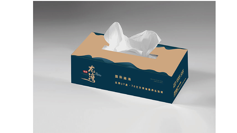 龙湾楼盘方案提报