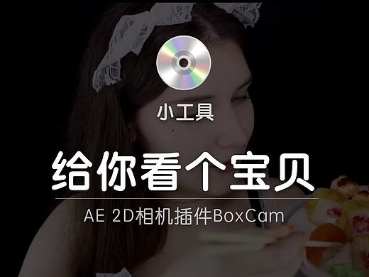 给你看个宝贝 --AE 2D相机插件BoxCam