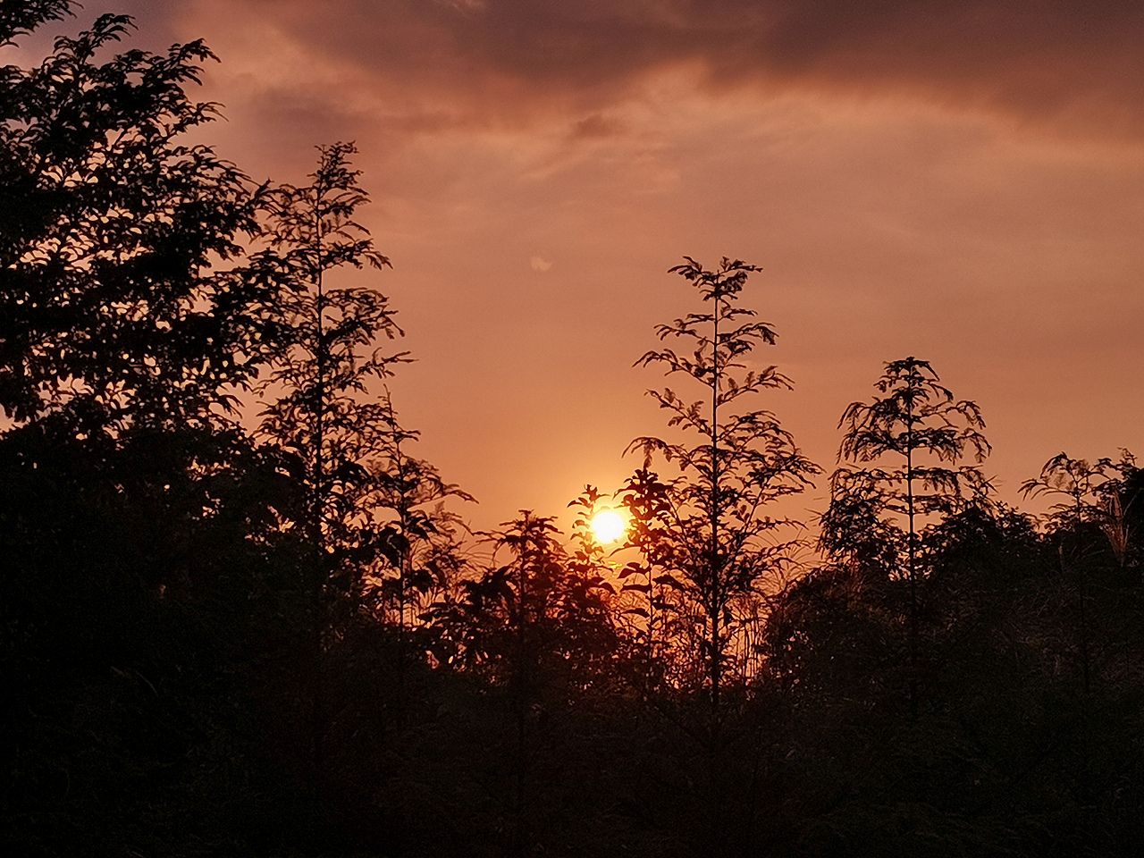 黄柏山（图ZMjIzNzkyODQ0） - 风光摄影 - 站酷设计师维纳斯没有185原创素材 - 站酷ZCOOL